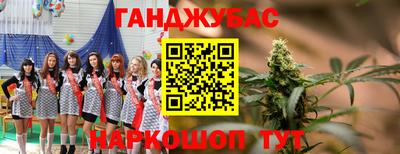 индика Кинель