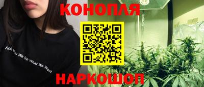 индика Кинель