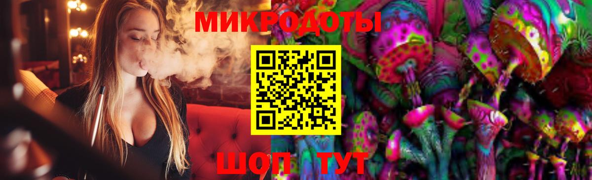 Волхов  Псилоцибиновые грибы мицелий  Вход с VPN 